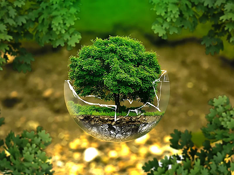 Environment, Social & Governance